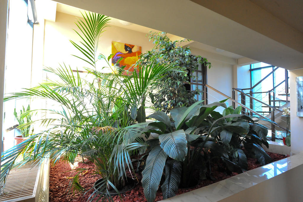 Pensiunea Novis ยาช ภายนอก รูปภาพ